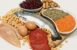 Protein: The #1 Tool for Building a Lean, Muscular Physique