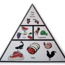 What is the Paleo Diet!? [Infographic]