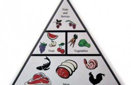 What is the Paleo Diet!? [Infographic]