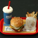 The Fast Food and Chain Restaurant Epidemic