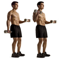 isometric curl, biceps exercises, best exercises, best ab exercises, best shoulder exercises, best chest exercises, best arm exercises, best abdominal exercises, fitness, best stomach exercises, best bicep exercises, best biceps exercises