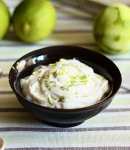 lime-yogurt5 (1)