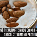 [Recipes] The Ultimate Mass Gainer — Chocolate Almond Protein Shake