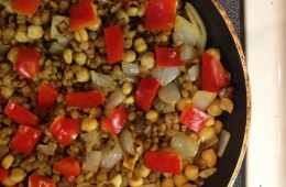 [Recipes] High Protein Maca Stew