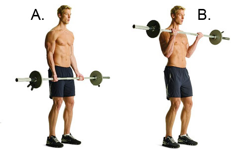 Barbell Biceps Curl, workout split, workout program, muscle building workout program, muscle building workout split, workout routine, four day workout split, workout plans, fat burning workout program, best workout program, best workout plan, best workouts, full body workout program, workout programs, workout routine, best workouts, best workout program