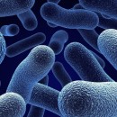 [Review] Dumbing Down The Mind-Numbing World Of Probiotics; The Complete Probiotic Buyer’s Guide