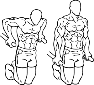 arms workout, arm workout, triceps workout, biceps workout, arm workouts, arm workout for women, big arms workout, arm workouts for women, best arm workouts, best arm workout, forearm workouts, tricep workout, biceps and triceps workout, bicep workouts, bicep workout, arm workout routine, workout routine, workout routine for men, tricep workout routine 