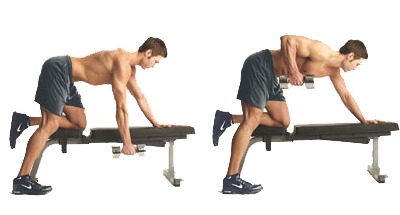 Bent-Over One Arm Dumbbell Rows, back exercises, best back exercises, best back exercises to build muscle, best lat exercises, best teres exercises, best rhomboid exercises, best trap exercises, best trapezius exercises, best lower back exercise, erector spinae exercises, teres exercises, rhomboids, rhomboid exercises, lat exercises
