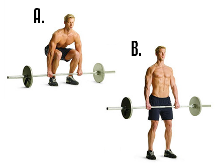 arms workout, arm workout, triceps workout, biceps workout, arm workouts, arm workout for women, big arms workout, arm workouts for women, best arm workouts, best arm workout, forearm workouts, tricep workout, biceps and triceps workout, bicep workouts, bicep workout, arm workout routine, workout routine, workout routine for men, tricep workout routine 