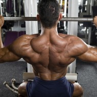 Lat Pulldown