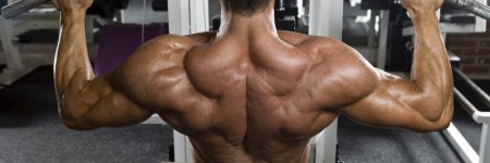 Lat Pulldown