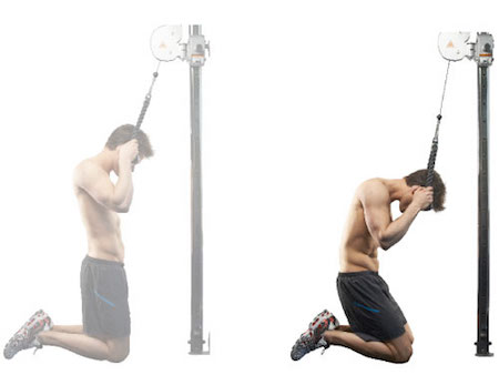 cable crunches, workout program, workout split, workout plan, workout plans, workout programs, workout programs for men, workout programs for women, workout program to build muscle, workout program to burn fat