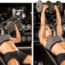 [UPWOD Nº22] The Chiseled Chest & Triceps Workout