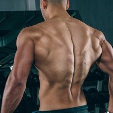 back workout, workout of the day, wod, daily workout, workouts, workout plan, workout plans, workout routine, workout routines, work out, gym workout, work out plans, workout program